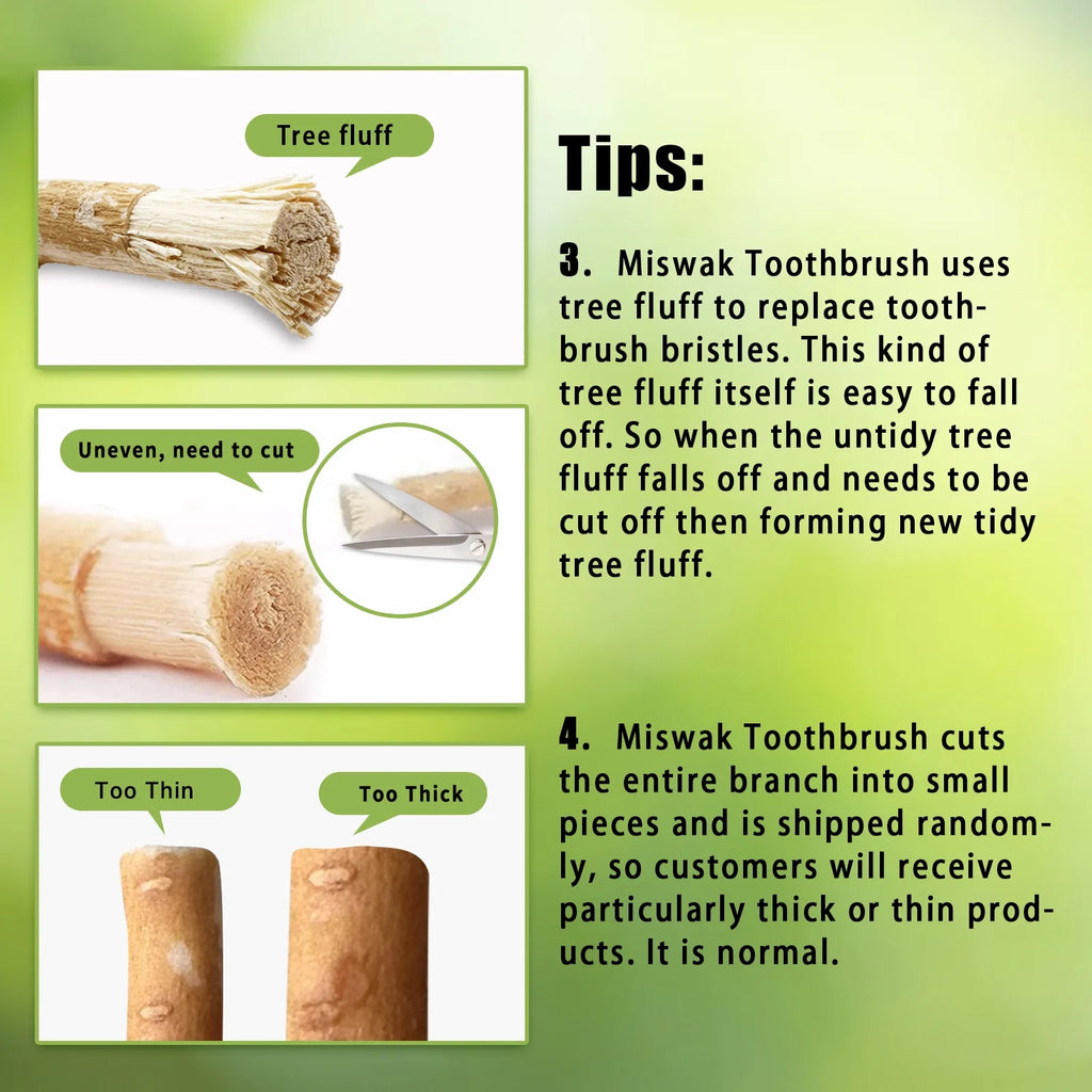 12 Pack Organic Miswak Toothbrushes | All-Natural Wooden Miswak Sticks for Teeth Whitening | Oral Care, Fresh Breath & Eco-Friendly | Mint Flavor