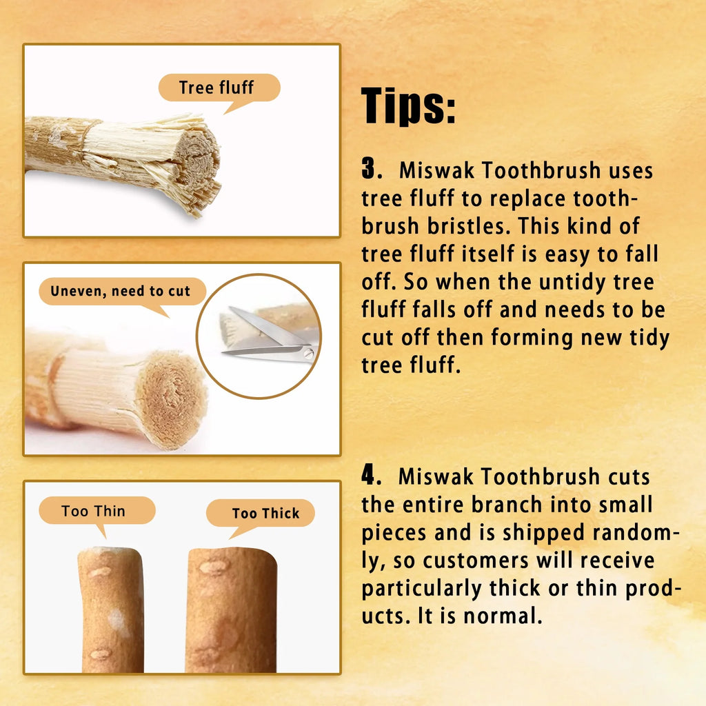 12 Pack Organic Miswak Toothbrushes | All-Natural Wooden Miswak Sticks for Teeth Whitening | Oral Care & Fresh Breath, Eco-Friendly | Clove Flavor