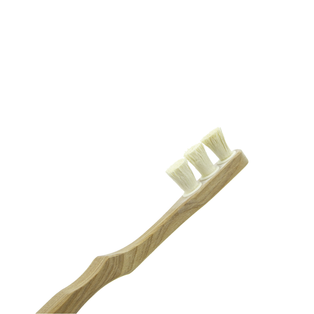 Eco-Friendly Toothbrush 100% Natural Miswak Bristles Interchangeabl