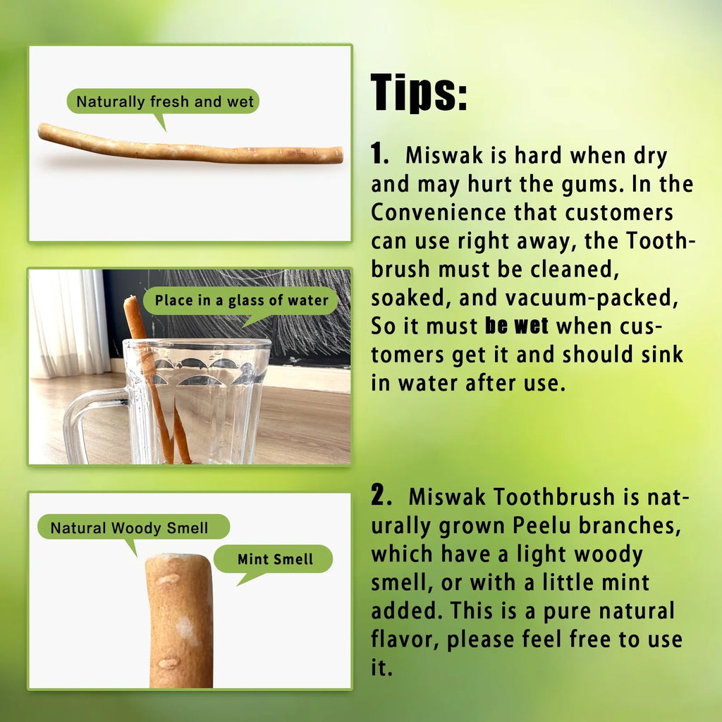 12 Pack Organic Miswak Toothbrushes | All-Natural Wooden Miswak Sticks for Teeth Whitening | Oral Care, Fresh Breath & Eco-Friendly | Mint Flavor